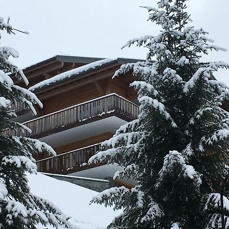 Les 4 Elements Aparthotel Chatel Exterior photo